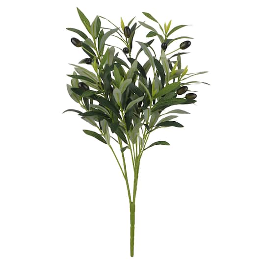 23" Olive Bush by Ashland®